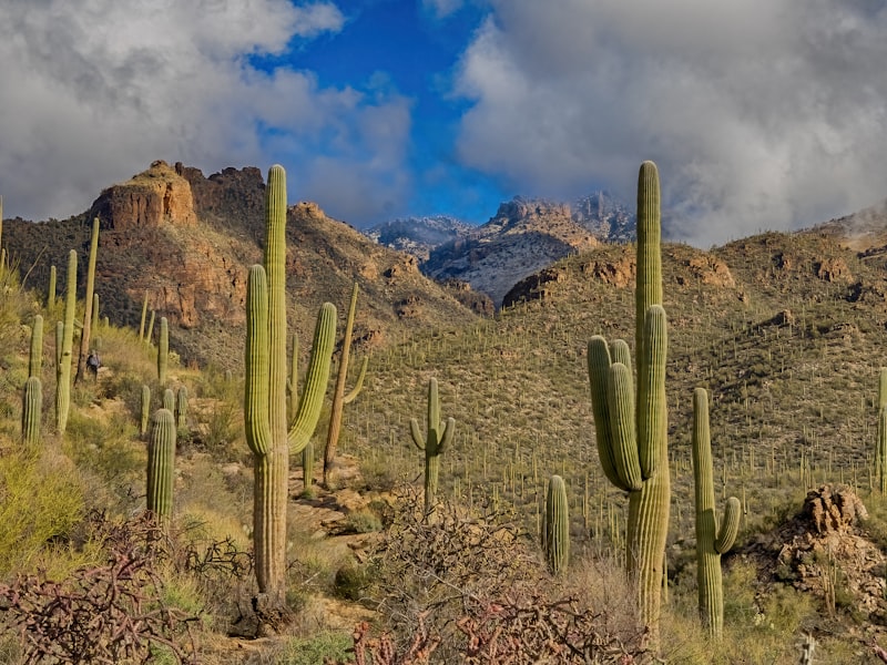 Tucson, AZ trailer rentals